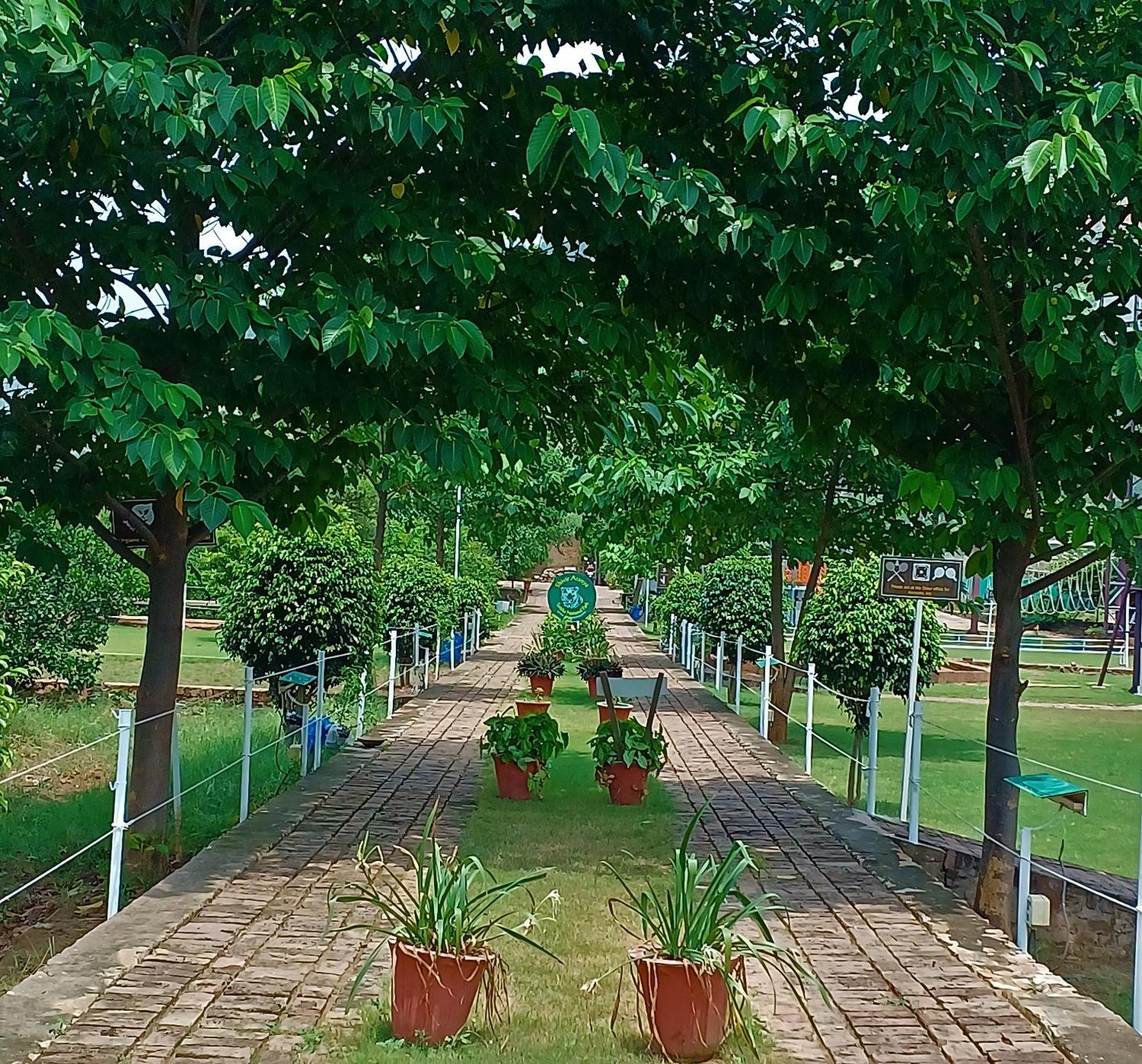 Shivir Aranya - Wilderness Resort Alwar Eksteriør bilde
